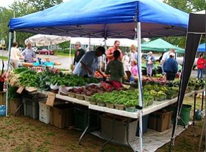 A table under a tent with fresh, farm veggies laid out